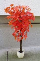 100 Veštako drveće